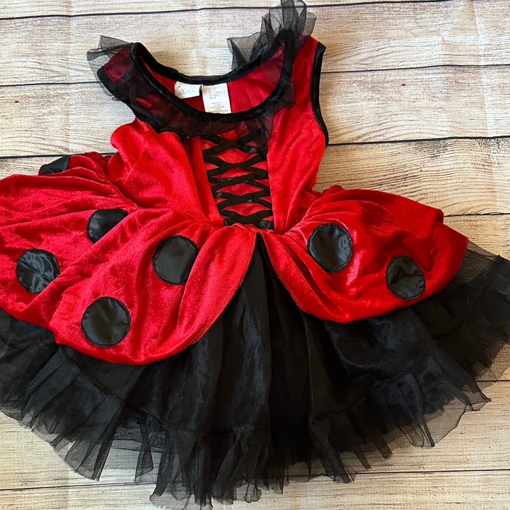 Ladybug Costume Halloween Size 4T Fairy Dust